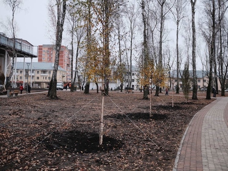 В Новомосковске 4 ноября открыли обновленную Березовую рощу