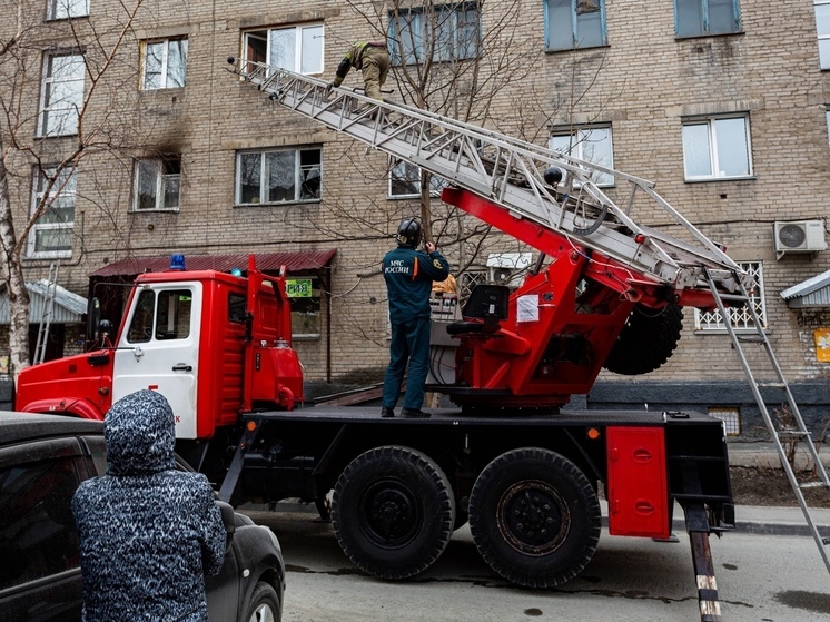 Под Новосибирском на пожаре в общежитии погиб одинокий мужчина и его пять собак