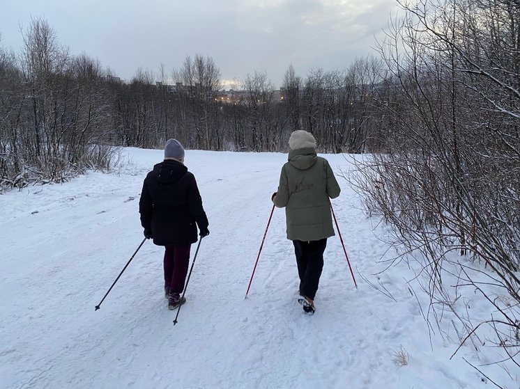 «И зимой, и летом»: мурманчане открыли сезон скандинавской ходьбы