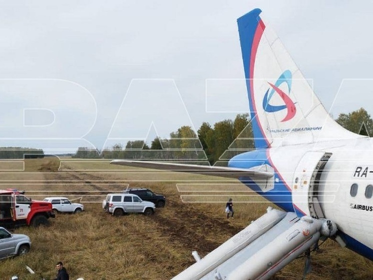 Росавиация назвала причиной посадки A320 в поле под Новосибирском ошибку пилотов и износ шланга