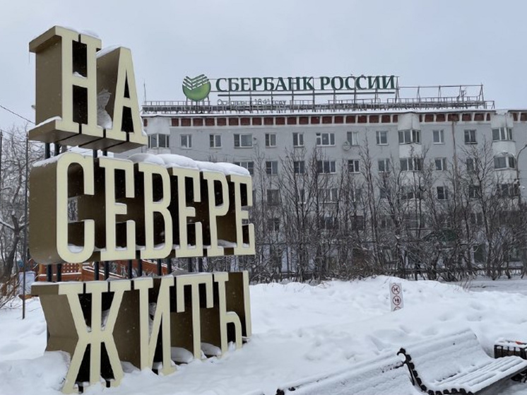 В Мурманской области завершается голосование по программе «На Севере – твой проект»