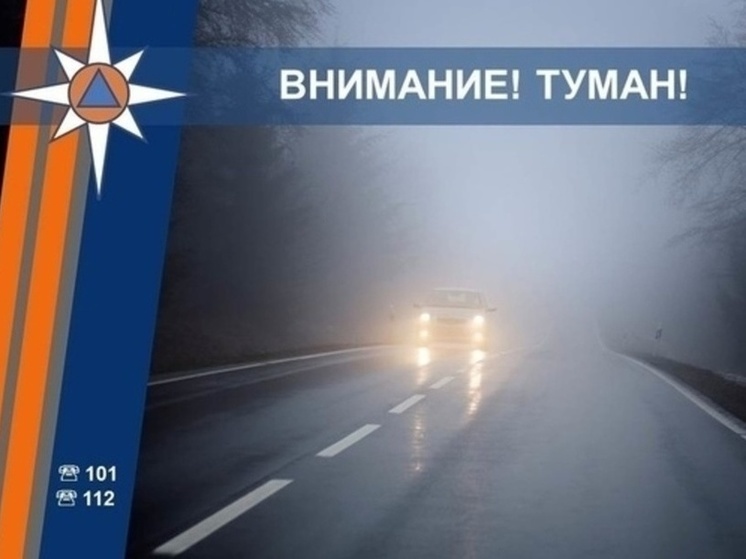 В Курской области водителей предупредили об опасности тумана на дорогах