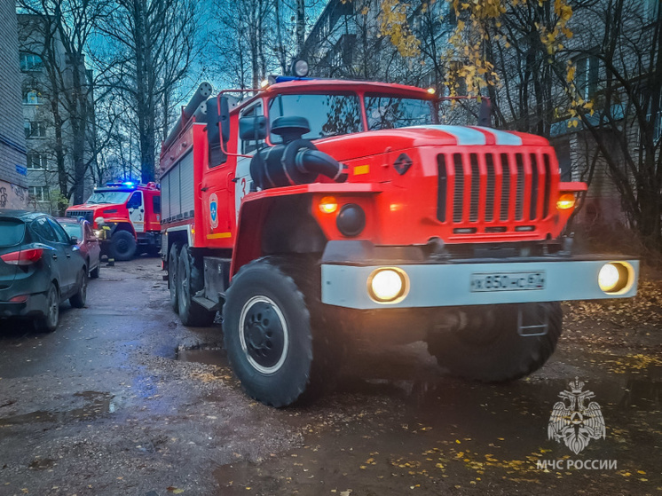 В Смоленске на пожаре в пятиэтажке погиб пожилой мужчина