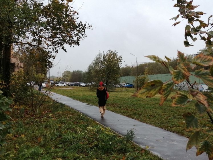 Ветер в Подмосковье повалил деревья и чуть не сорвал крышу