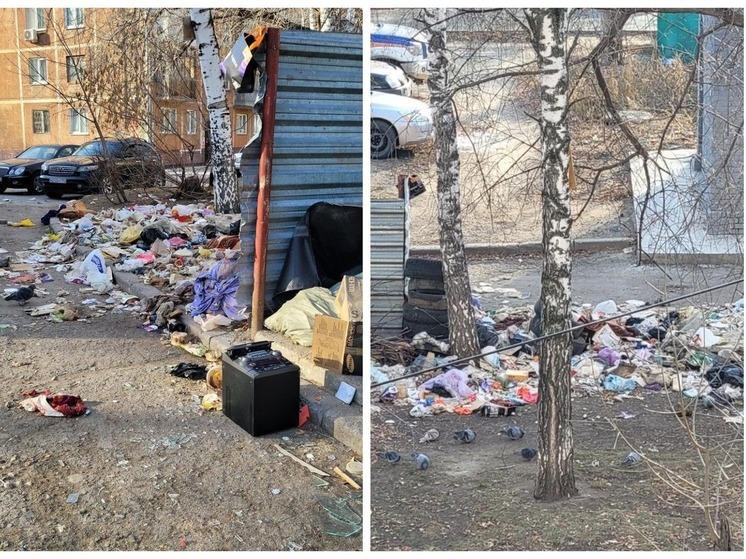 Жители Новосибирска пожаловались на мусорный коллапс в праздники
