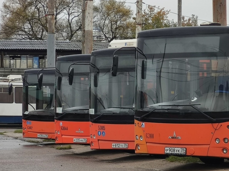 Калининградцам рассказали, изменятся ли цены на проезд в общественном транспорте