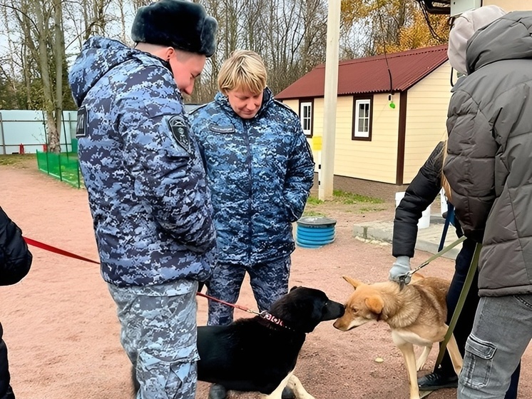 Росгвардейцы из Всеволожска посетили приют для бездомных животных