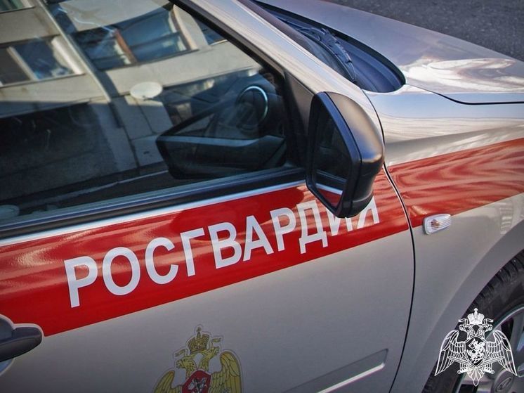 Росгвардейцы задержали пьяного водителя в Хакасии