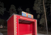В парке Юбилейный столицы Бурятии появился теплый павильон с обогревателями