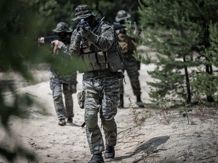 Balytsky: the counter-offensive of Ukrainian troops in the Zaporozhye direction has been completely stopped