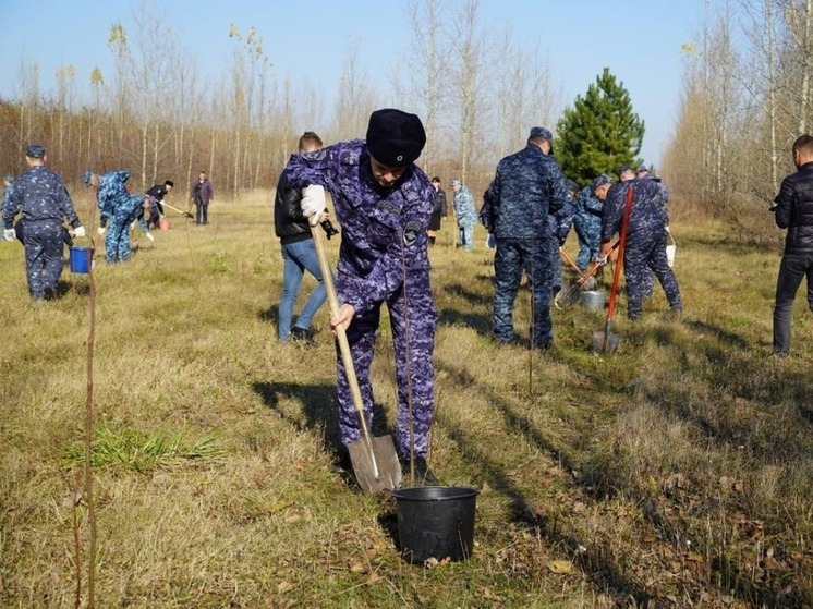 Белгородские участковые высадили аллею из рябин в Новом Осколе