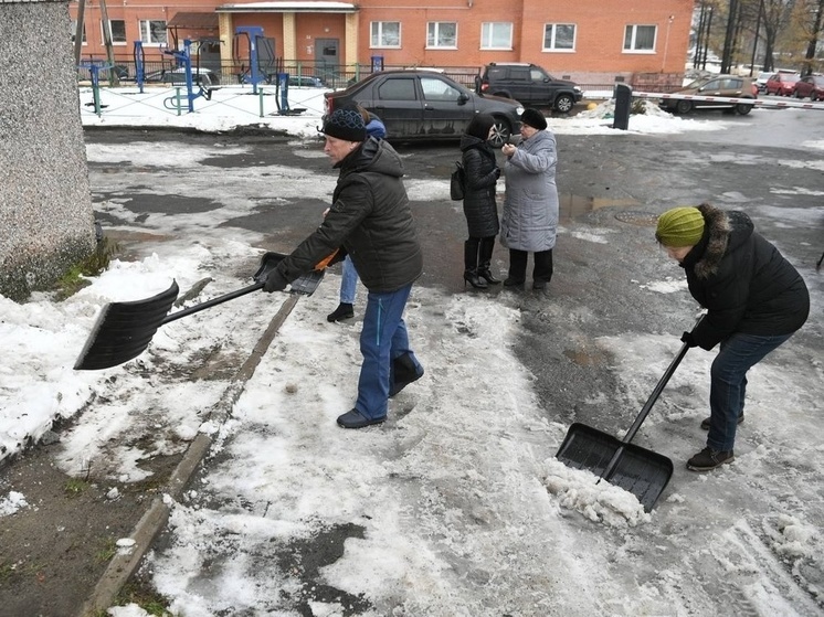 Глава Карелии похвалил жителей Петрозаводска, которые сами убирают дворы от снега