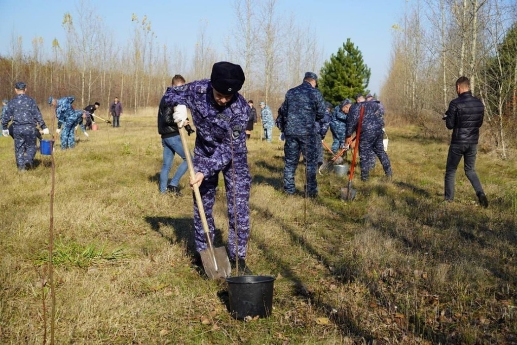 Белгородские участковые высадили аллею из рябин в Новом Осколе