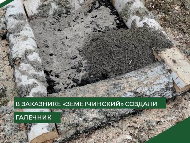 Пензенские охотхозяйства начали подготовку к зимнему сезону