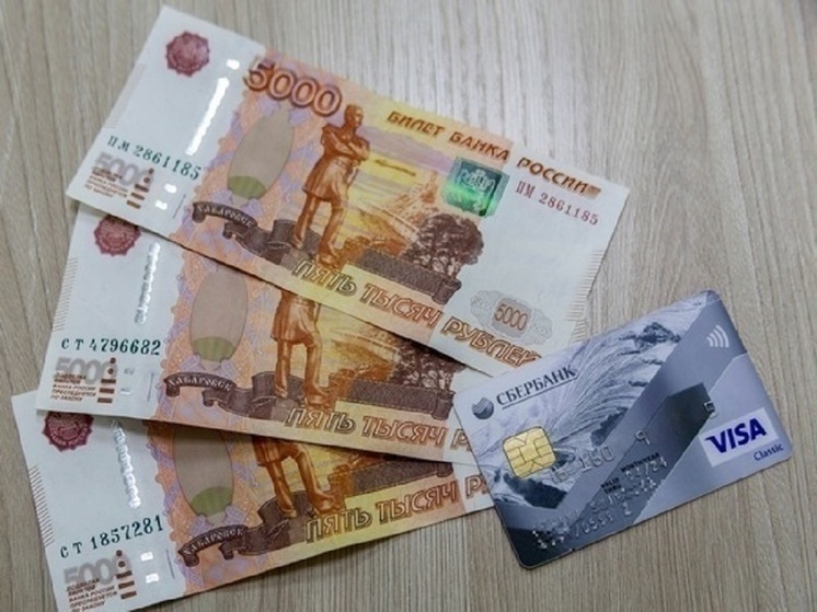 Новосибирской области жители стали чаще брать кредиты на жизнь