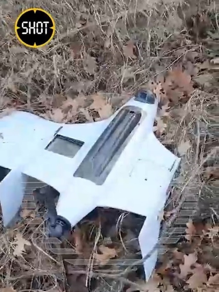 В Воронежской области обнаружили украинский дрон-разведчик