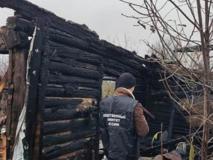 Пожар в Сампурском округе унес жизнь 52-летнего мужчины