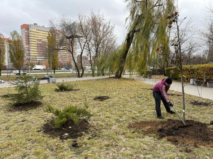 В Центральном парке Воронежа высадят более 300 деревьев