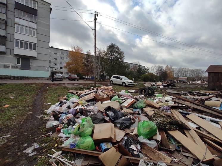 Пензенцы из района мясокомбината просят убрать огромную свалку после сноса гаражей