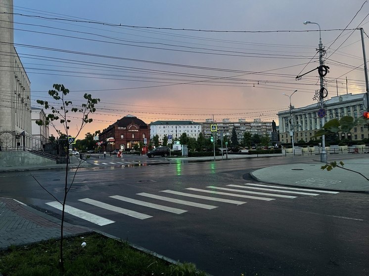 Пензенцы рассказали о нелюбимых домашних делах