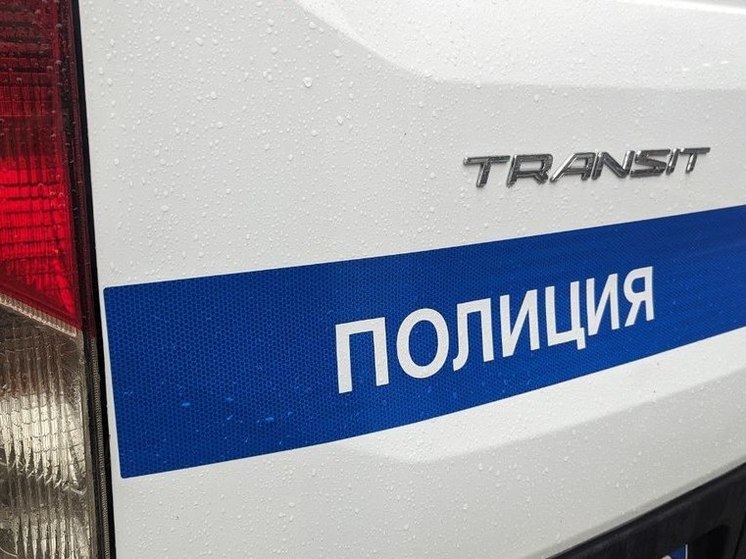 Петербургские оперативники задержали мошенника в аэропорту «Домодедово»