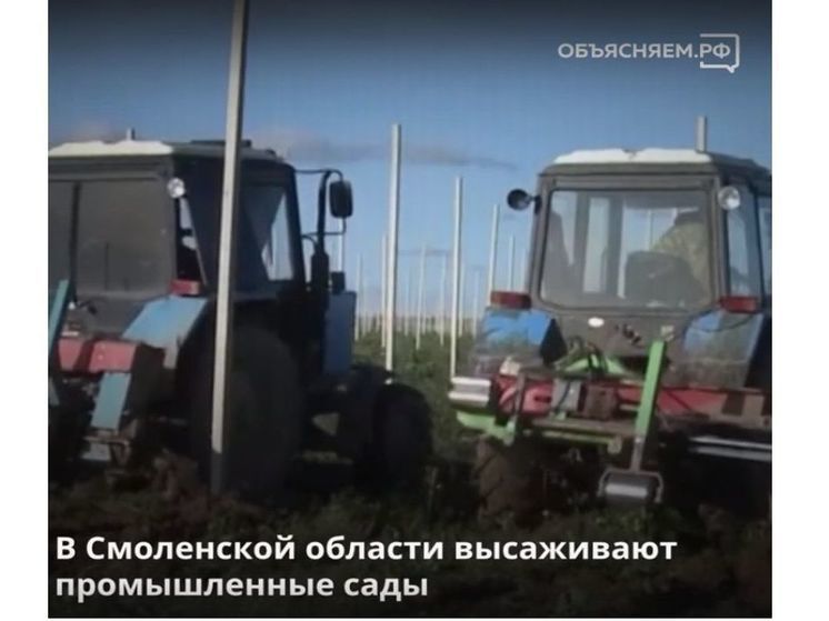 Смоленщина становится регионом интенсивного садоводства