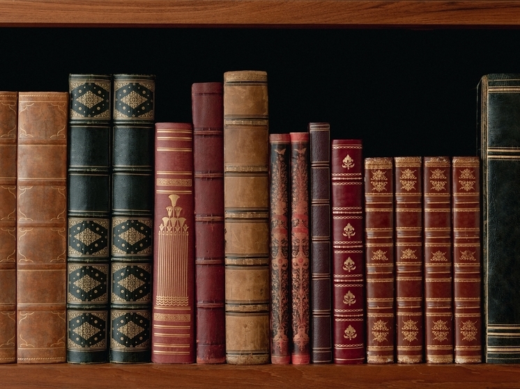 В Вельском районе открыли библиотеку в здании бывшего ФАПа