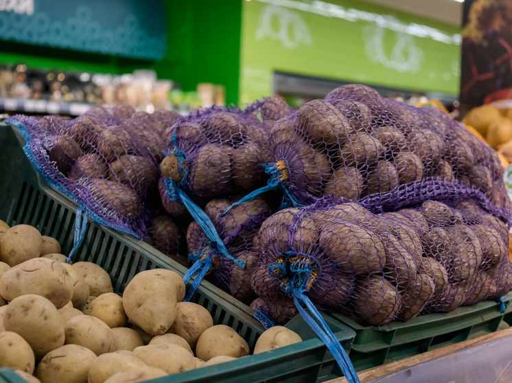 В Астраханской области собрали 390 тысяч тонн картофеля в 2023 году