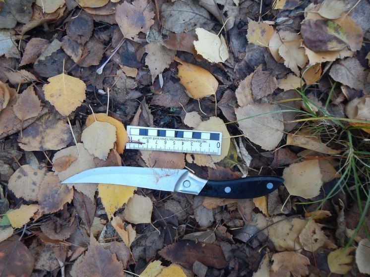 Жительница Волжска получила ножом в живот от собутыльника