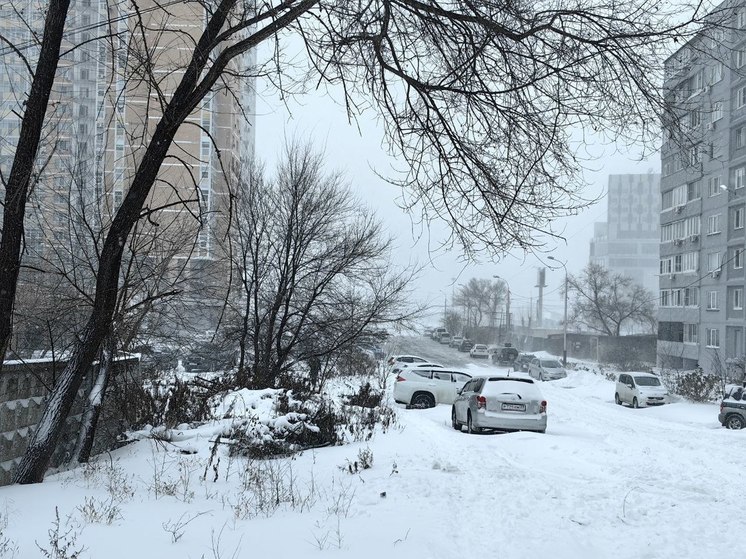 Михаил Дегтярев взял на личный контроль ликвидацию последствий снегопада