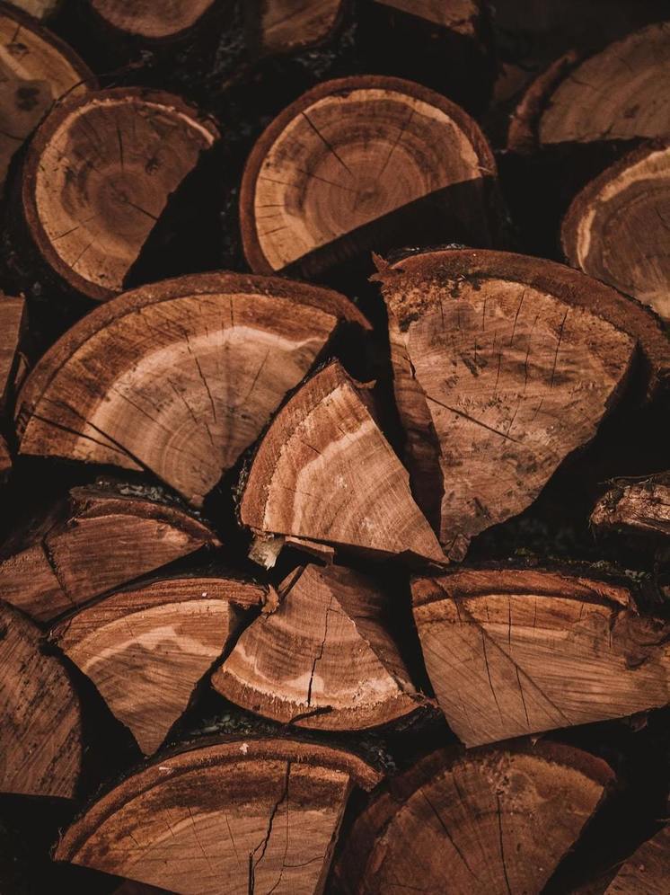 Жителям Бурятии рассказал о правила заготовки дров в центральной экологической зоне