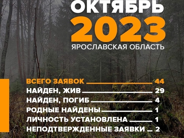 В октябре добровольцы ярославского отряда "ЛизаАлерт" искали 44 человека