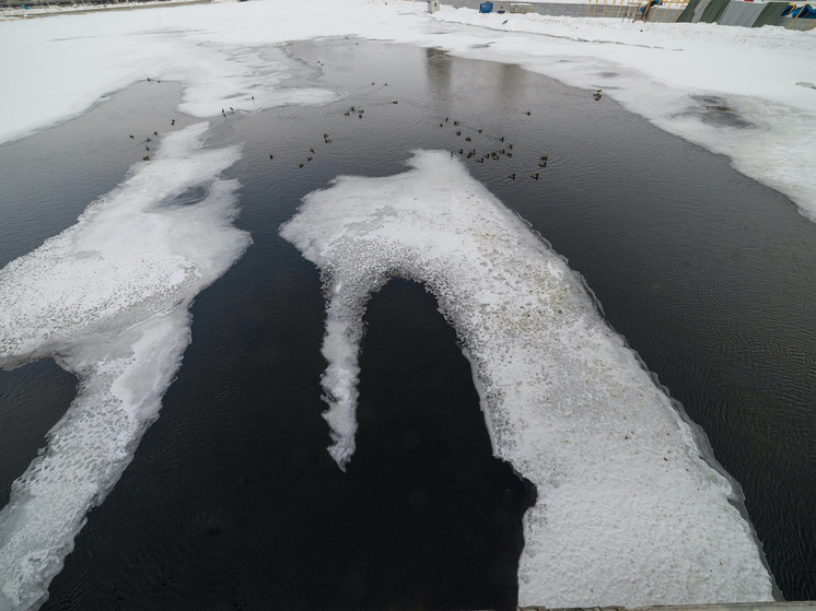 В Челябинской области моржи открыли зимний купальный сезон