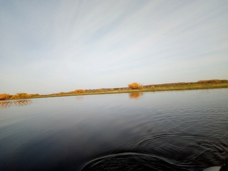 Информация о разливе нефтепродуктов в реку Сухону в Междуреченском округе не подтвердилась