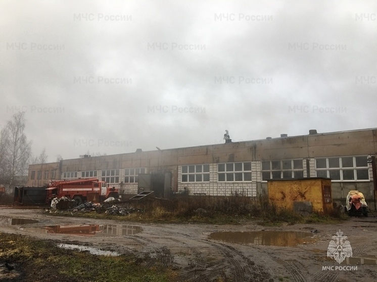 Возгорание в производственном цехе в Рыбинске тушили 20 пожарных