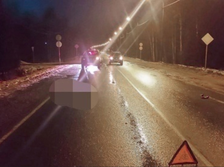 ГИБДД назвала возраст девочки-подростка, пострадавшей в ДТП в Карелии