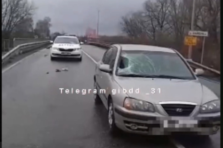 Под Белгородом пожилой автомобилист на иномарке сбил молодую девушку