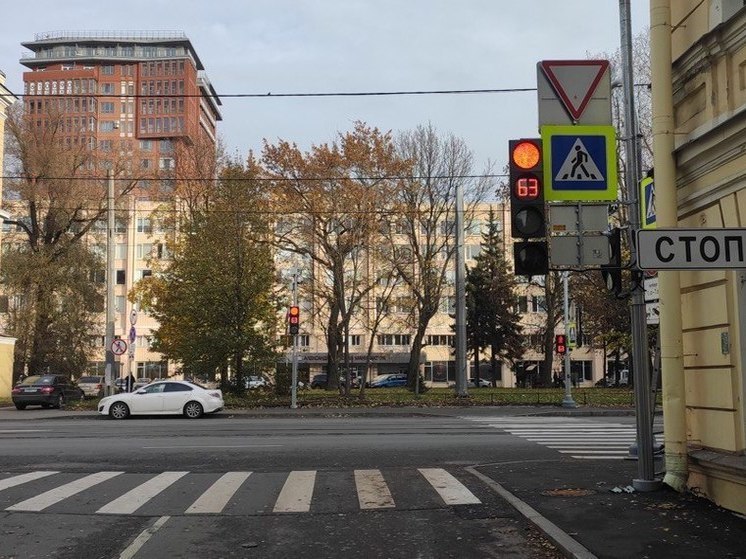 В Петербурге установили новый светофор на Московском шоссе