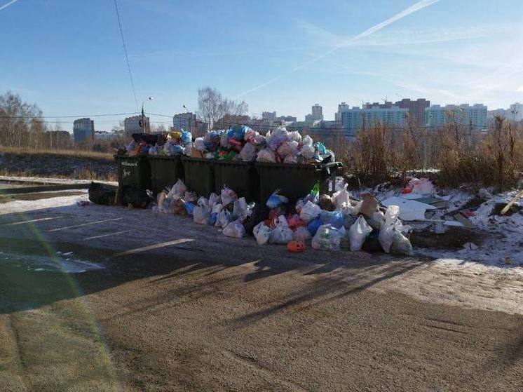 С нового года «Спецавтохозяйство» обяжут следить за контейнерными площадками