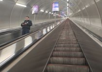 Вход в вестибюль станции метро «Петроградская» ограничили вечером 7 ноября. Об этом сообщили в пресс-службе петербургского метрополитена.