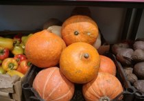Оранжевые овощи и фрукты содержат большое количество микроэлементов. Тыква, морковь, чечевица, облепиха и хурма являются источниками различных витаминов, в том числе группы B. О пользе оранжевых плодов петербуржцам рассказали в пресс-службе регионального управления Роспотребнадзора.