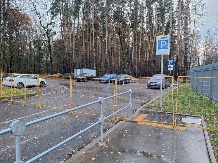 Жители Подольска  в защиту своего мемориального парка записали видеообращение к президенту Путину