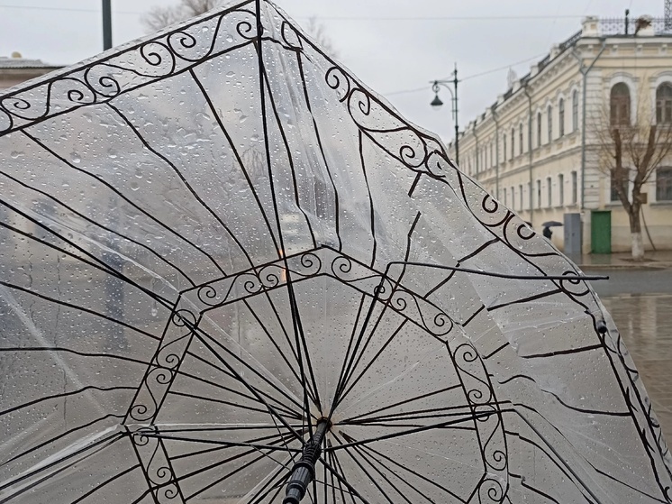 Середина недели в Оренбуржье будет дождливой