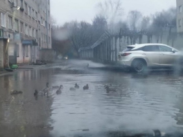 Ярославцы: Не можешь убрать – облагородь