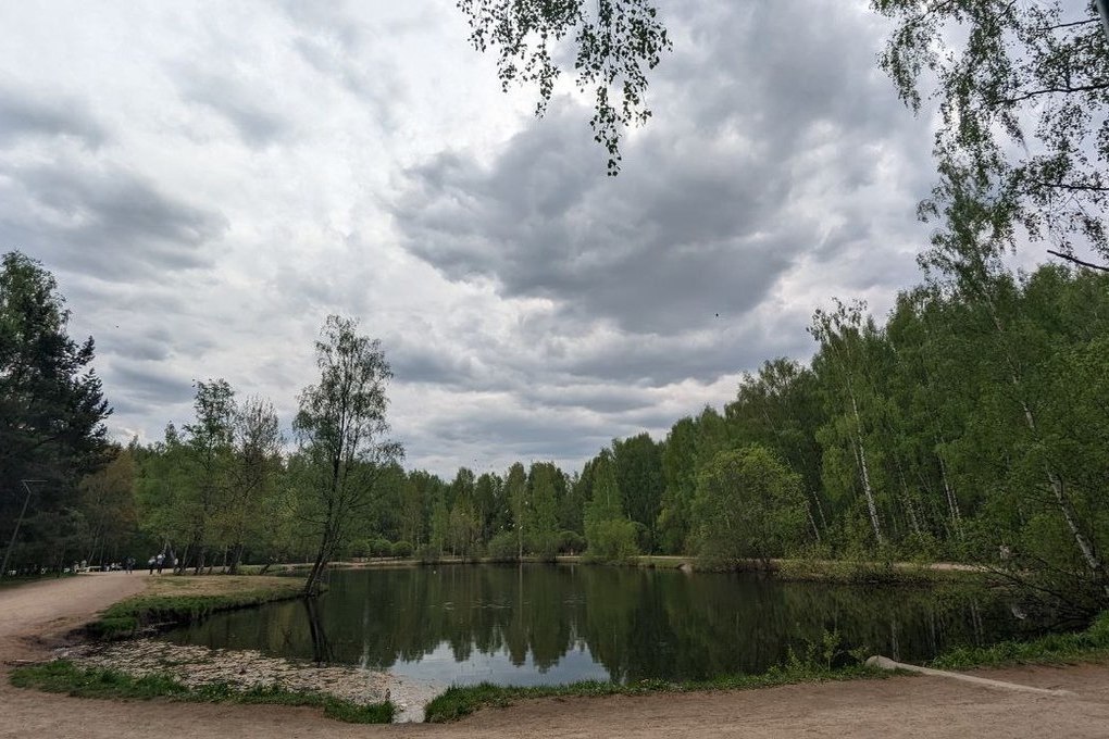 В Петербурге планируют увеличить перечень зеленых зон на 400 территорий