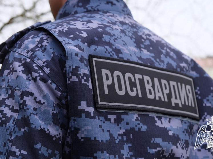 Тамбовские росгвардейцы за неделю изъяли рекордное число нелегального оружия