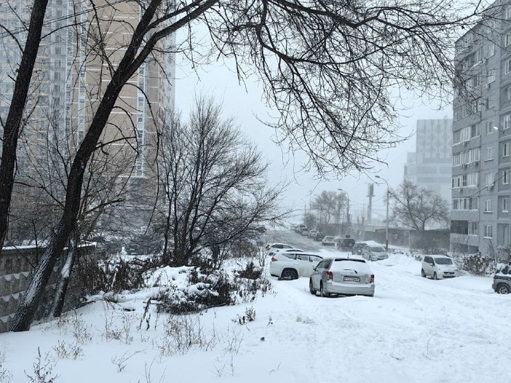 Погода на ноябрь хабаровск