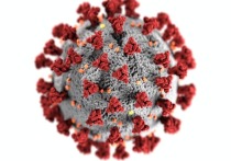 Согласно иммунологу Николаю Крючкову, заболеваемость коронавирусом в России может начать расти в ноябре и достигнуть пика в декабре