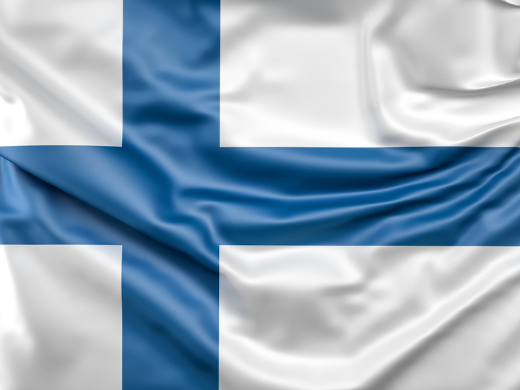 Финские депутаты поддержали идею упростить конфискацию домов россиян