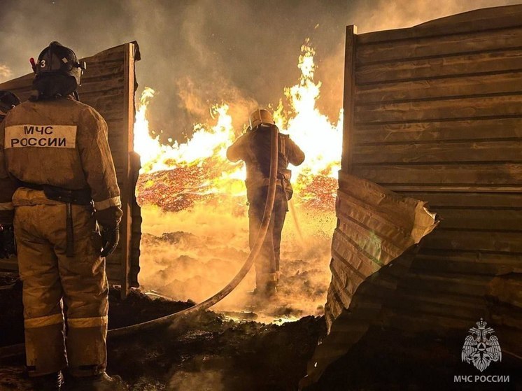 МЧС: в Красноярском крае за день в пожаре погибли 3 человека